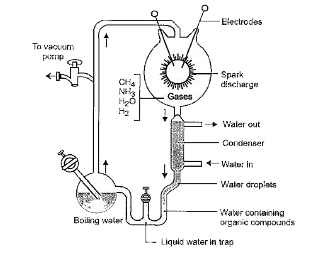 Read the following passage and answer the questions that follow.      Urey & Miller tried to create in the laboratory the similar conditions which might have existed in early primitive atmosphere. A mixture of water vapours, methane, ammonia & hydrogen is exposed to electric discharge in a closed chamber, this fluid thus formed is allowed to stand for several week as a result, amino acids e.g. glycerine & alanine are formed from fluid. They suggested that electric discharge produced during lightening in primitive atmosphere of earth might have resulted in formation of organic           Who were the two scientists that conducted an experiment to synthesise organic molecule abiotically?