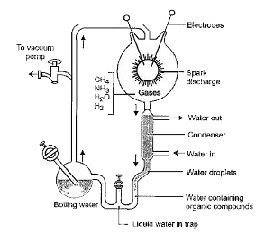 Read the following passage and answer the questions that follow.      Urey & Miller tried to create in the laboratory the similar conditions which might have existed in early primitive atmosphere. A mixture of water vapours, methane, ammonia & hydrogen is exposed to electric discharge in a closed chamber, this fluid thus formed is allowed to stand for several week as a result, amino acids e.g. glycerine & alanine are formed from fluid. They suggested that electric discharge produced during lightening in primitive atmosphere of earth might have resulted in formation of organic           The conclusion of this experiment by scientists was