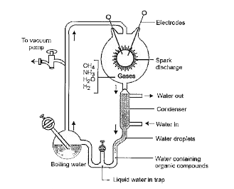 Read the following passage and answer the questions that follow.      Urey & Miller tried to create in the laboratory the similar conditions which might have existed in early primitive atmosphere. A mixture of water vapours, methane, ammonia & hydrogen is exposed to electric discharge in a closed chamber, this fluid thus formed is allowed to stand for several week as a result, amino acids e.g. glycerine & alanine are formed from fluid. They suggested that electric discharge produced during lightening in primitive atmosphere of earth might have resulted in formation of organic          The concept of this experiment is based on