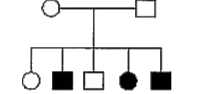 In the given pedigree chart, the trait shown is.