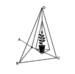 The given figure shown as air plant holder which is in the shape of a tetrahedron. Let A(1, 1, 1) B(2, 1, 3), C(3, 2, 2) & D(3, 3, 4) are the vertices of air plant holder. Based on the above information answer the following questions.      The vector of vec(AB) is :