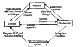 Given below is a schematic representation. Analyse and answer the questions asked on the basis of it:           Do you think that climate has an adverse impact on biodiversity as according to the graph?