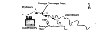 Water samples were collected at points A, B and Cin a segment of a river near a sugar factory and tested  for BOD level. The BOD levels of samples A, B and C were 400 mg/L, 480 mg/L and 8 mg/L respectively. What is this indicative of? Explain why the BOD level gets reduced considerably at the collection point  C?