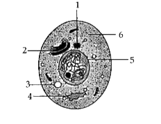 Study the diagram and answer the questions  that follow:      Label the parts 1 - 4.