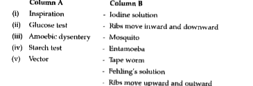 Match the items given in the Column A with the most appropriates ones in Column B and write the correct matching pairs :