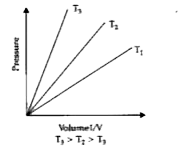 State the law which are represented by the  following graphs.