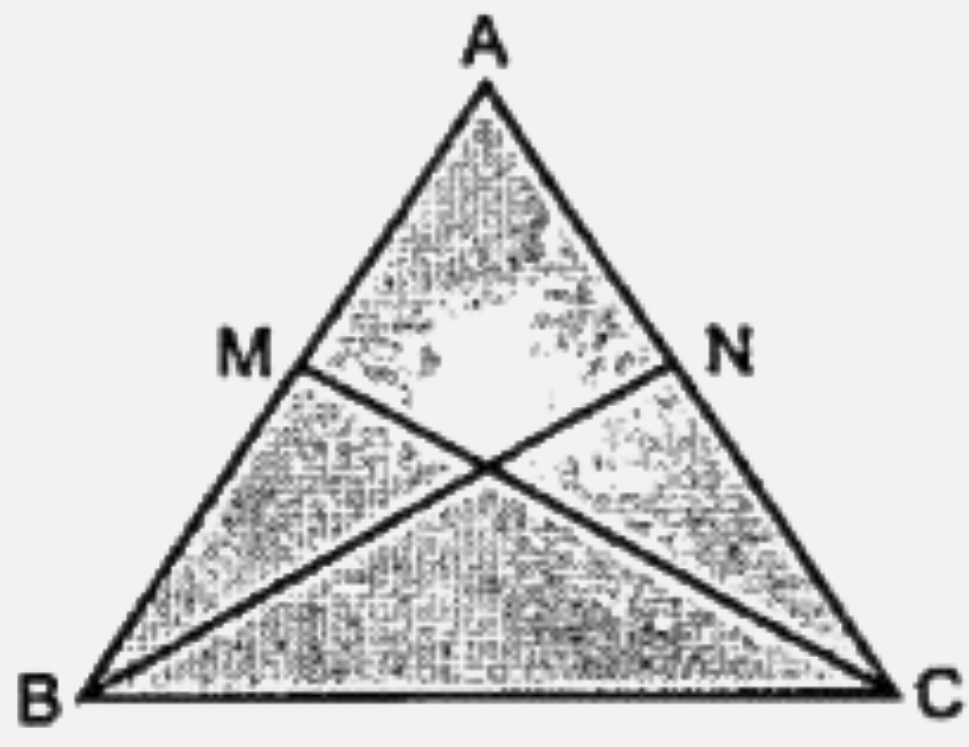 The following figure shows a triangle ABC in which AB=AC. M is a point on AB and N is a point on AC such that BM = CN. Prove that      AM=AN