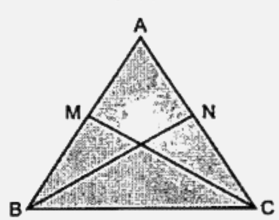 The following figure shows a triangle ABC in which AB=AC. M is a point on AB and N is a point on AC such that BM = CN. Prove that      DeltaBMC~=DeltaCNB