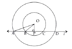 In the given figure O is the centre of the two concentric circles. A line 'l' cuts the circles at A, B, C and D as shown in the figure. OP is perpendicular to AD. Given OA = 34 cm, OP = 16 cm and AB = 18 cm.   Find : (i) length of chord AD, (ii) length of chord BC, (iii) radius of the smaller circle