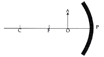 Fig. shows a concave mirror with its pole at P, focus F and centre of curvature C. Draw ray diagram to show the formation of image of an object OA.