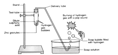 In the following schematic diagram for the preparation of hydrogen gas as shown in figure, what would happens if the following changes are made?   (a) In place of zinc granules. Same amount of zinc dust is taken in the test tube.   (b) Instead of dilute sulphuric acid, dilute hydrochloric acid is taken.   (C) In place of zinc, copper turnings are taken.   (D) Sodium hydroxide is taken in place of dilute sulphuric acid and the test tube is heated.