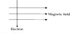 An electron enters a magnetic field at right angles to it as shown in figure. What will be the direction of force acting on the electron ? State the rule which gives direction of force on electron.