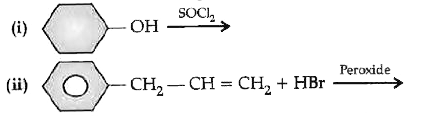 Draw the structure of major mono halo product in each of the following reactions :   (i)