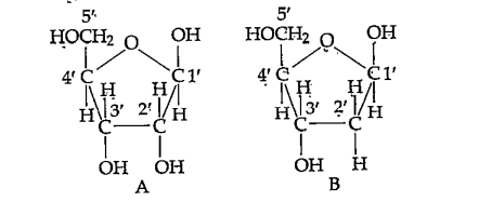 Observe A and B given below. Which of the following statements are correct?