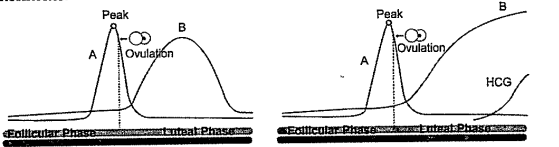 The peak observed in Subject 1 and 2 is due to :