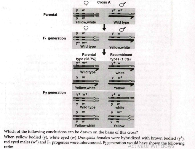 Given below is a dihybrid cross performed on Drosophila.