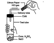 The figure given below represents the experiment carried out between conc. Sulphuric acid and sodium chloride, which react with each other to form HCl gas.  Blue litmus paper is brought near the mouth of the delivery tube to check the presence of HCl acid but no change is observed in the colour of litmus paper because: