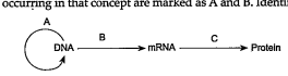 The diagram given below