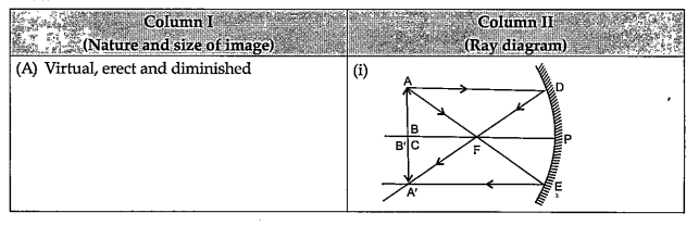 Match Column I with Column II and choose the most appropriate option from the codes given below: