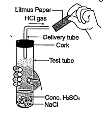 Case 2: Chemical reactions are chemical changes in which reactants transform into products by making or breaking of bands (or both) between different atoms. A chemical reaction can be determined with the help of any of the following observations:   Evolution of a gas   Change in temperature   Formation of a precipitate   Change in colour   Change of state   The figure given below represents the experiment carried out between conc. sulphuric acid and sodium chloride, which react with each other to form HCl gas.      Blue litmus paper is brought near the mouth of the delivery tube to check the presence of HCl acid but no change is observed in the colour of litmus paper because :