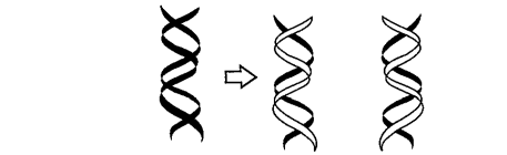 What does the diagram represent?