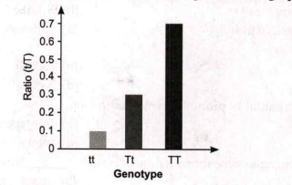 The following statements are drawn as conclusions from the given below graph:      t/T ratio for the genotype TT is 0.5   Combined ratio for homozygous trait is 0.8   Ratio of homozygous to heterozygous trait is less than 1   Genotype Tt has the ratio of 0.3   Choose from below the correct alternative: