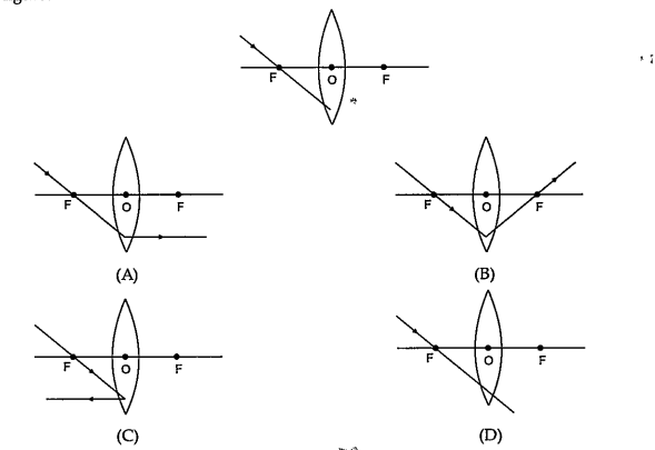 Which of the following ray diagrams is correct for the ray of light incident on a lens shown in figure ?