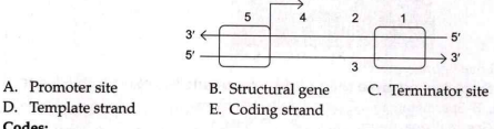 iN the given diagram find out A-E