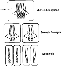 The given image represets