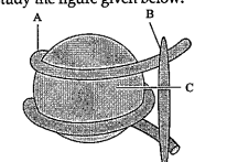 What is the role of part B?