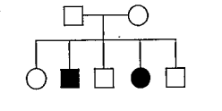 The following pedigree shows a particular trait which is absent in the parents but found in the subsequent generation irrespective of the sexes. The pedigree shows :