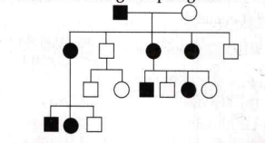 Identify the type of inheritance shown in the given pedigree: