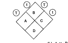 What will be the genotype of the following Punnet square?