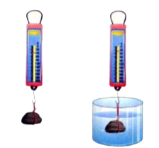 A stone is weighed using a spring balance (Fig. C) and it weighs 40 g. But when it is dipped in water, it weighs only around 25 g. Why does it weigh less in water? Which force acting on the stone is responsible for this?
