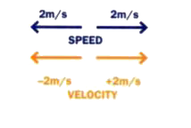 Why is that speed is given as 2 m/s in both directions while velocity is given as - 2 m/s and +2 m/s in the figure alongside?