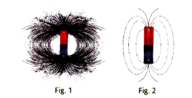 Why do the curved lines around the magnet never intersect each other?