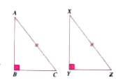 Two right-triangle are such that their hypotenuse are equal, and one of the acute angle are also equal.Are the two triangle congruent?