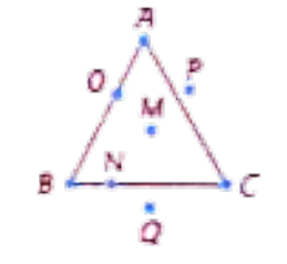 In the figure given below. Find .   (a)  the points that lie in the interior of the given figure.   (b)  The points that lie on the boundary of the triangles.   (c )  the points that lie on the exterior of the triangle.