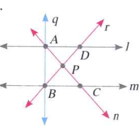 Name the following from the figure given here.  (a) lines intersecting at point A.   (b)  two parallel lines     (c )  four rays starting from point P.    (d) The point of intersection of lines l. and r.