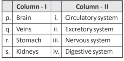 Match the following organs in column I with their corresponding systems in column II respectively.