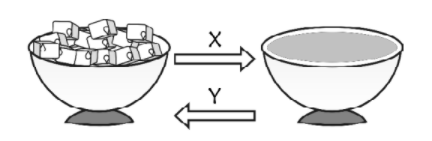 Observe the figure given below. Which of these represent X and Y?