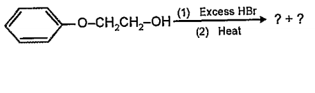What are the products of the following reaction?