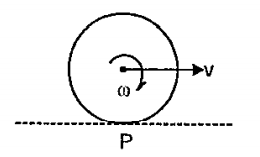 A spherical body of radius R rolls on a horizontal surface with linear velocity v. Let L1 and L2 be the magnitudes of angular momentum of the body about centre of mass and point of contact P. Then