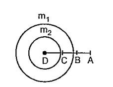 The following figure shows two shells of masses m1 and m2 The shells are concentric. At which point, a particle of mass m shall experience zero force?