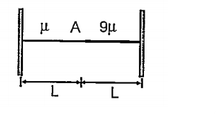 A light string is tied at one end to a fixed support and to a heavy string of equal length L at the other and as shown in figure. Mass per unit length of the strings are mu and 9 mu and the tension is T. Find the possible values of frequencies such that point A is a node/antinode.