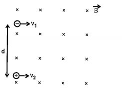 Two identical particles having the same mass m and charges +q and -q seprately by a distance d in a uniform magnetic field B directed perpendicular to paper inwards with speed v1 and v2 as shown in figure the particles will not colloid if