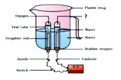 [Punjabi] In the process of water electrolysis oxygen and----- gases a