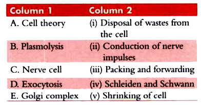 Match the entries of Column 1 with those of Column 2.