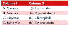 Match the entries of  Column 1 with those of Column 2.