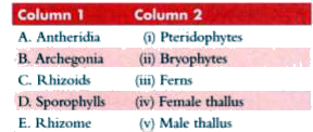 Match the entries of  Column 1 with those of Column 2.